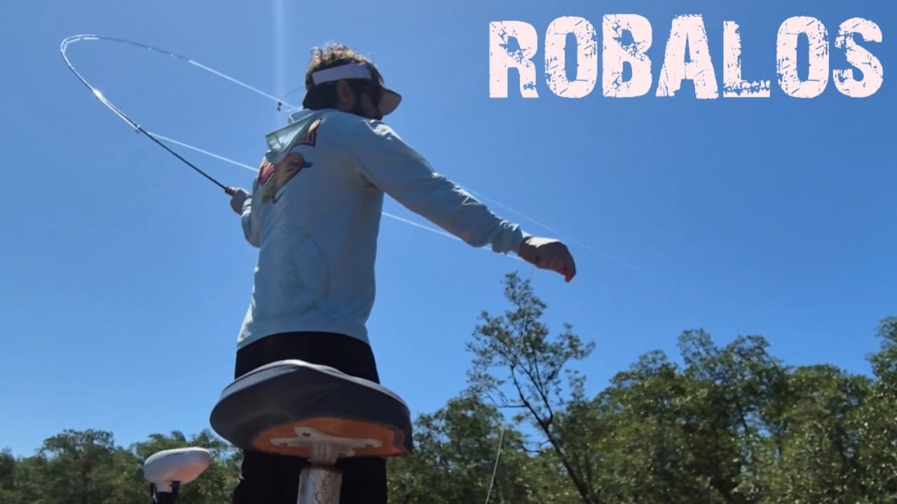 PESCA DE ROBALOS EM BERTIOGA NAS MELHORES TÉCNICAS