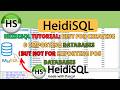 HeidiSQL Tutorial: Best for Creating & Importing Databases (But Not for Exporting POS Databases)