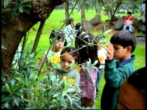 Video: Descripción y fotos del jardín botánico de la universidad - Finlandia: Oulu