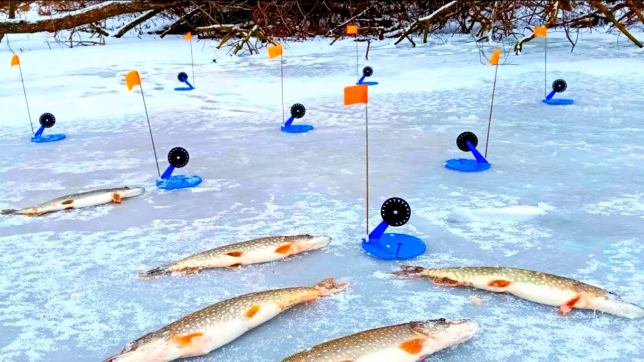ЖАРКАЯ РЫБАЛКА НА ЖЕРЛИЦЫ. ПЕРВЫЙ ЛЁД