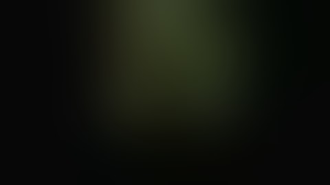 Klaus Schreiber Video Feedback Loop (with intro & images captured)