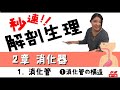 【秒速ナース】2章 消化器 -1消化管【解剖生理-授業動画】