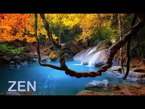 Música Zen y Sonidos de la Naturaleza - Quitar el Estrés y Descansar la Mente