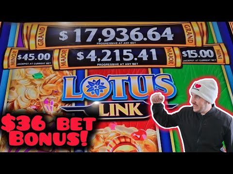 Mejores casinos en México I Los mejores casinos