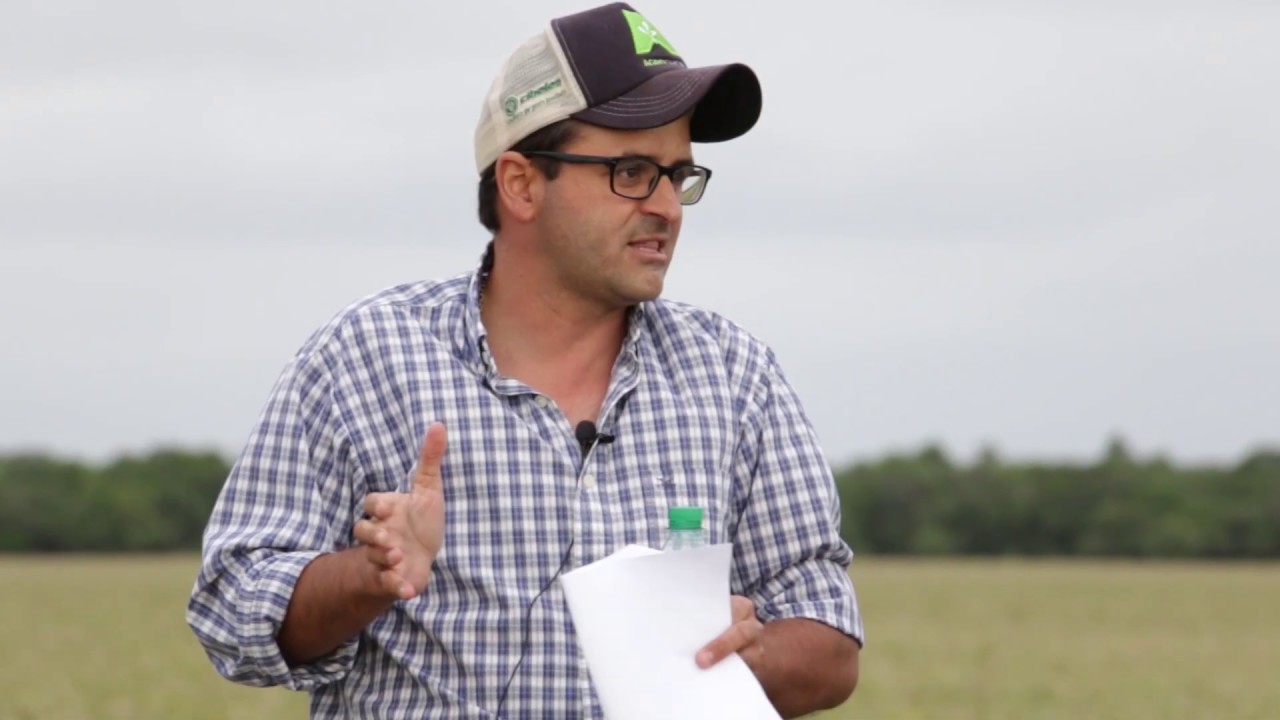 Parada 3 - Predio de Riccetto en Vergara. IV Gira de Pasturas Sembradas en el Este