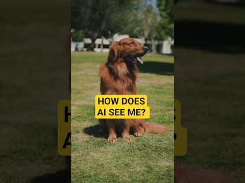 How Does AI Recognize a Dog? 🐶🧠 (Deep Learning Explained Simply)