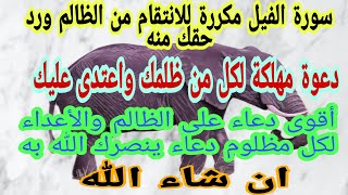 سورة الفيل لتدمير وهلاك العدو الظالم والساحر والانتقام ممن ظلمك +دعاء على الظالم