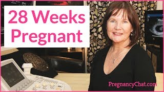 '28 Weeks Pregnant' by PregnancyChat.com @PregChat