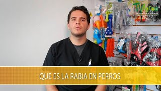 Que es la Rabia en Perros  TvAgro por Juan Gonzalo Angel Restrepo