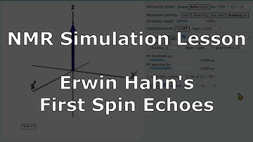 NMR Simulation: Hahn