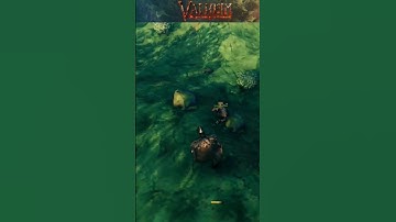 Valheim Connection issues #shorts #funny #gaming #memes #valheim