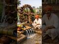 🔥 “बिना बिजली के पानी! किसान का दिमाग हिला देने वाला जुगाड़” #farming #desijugad #innovation #shorts