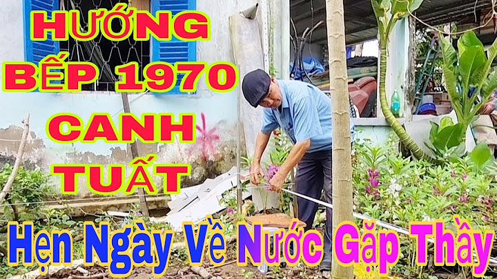 Tuổi canh tuất hợp cây phong thuỷ nào năm 2024