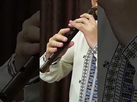 При долині кущ калини