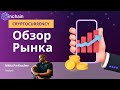 Криптовалютный Крах: Как Низко Мы Ещё Упадём?