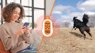 Orange Dongle - FREE Voice & Text Messaging Anywhere Anytime [Crowdfunding Kickstarter Indiegogo]