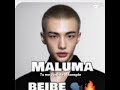 MALUMA *lo que es quispe*