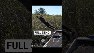 DIVING ON GIANT PYTHON!