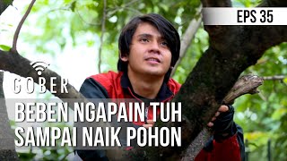 GOBER - Beben Ngapain Tuh Sampai Naik Pohon [20 Januari 2020]