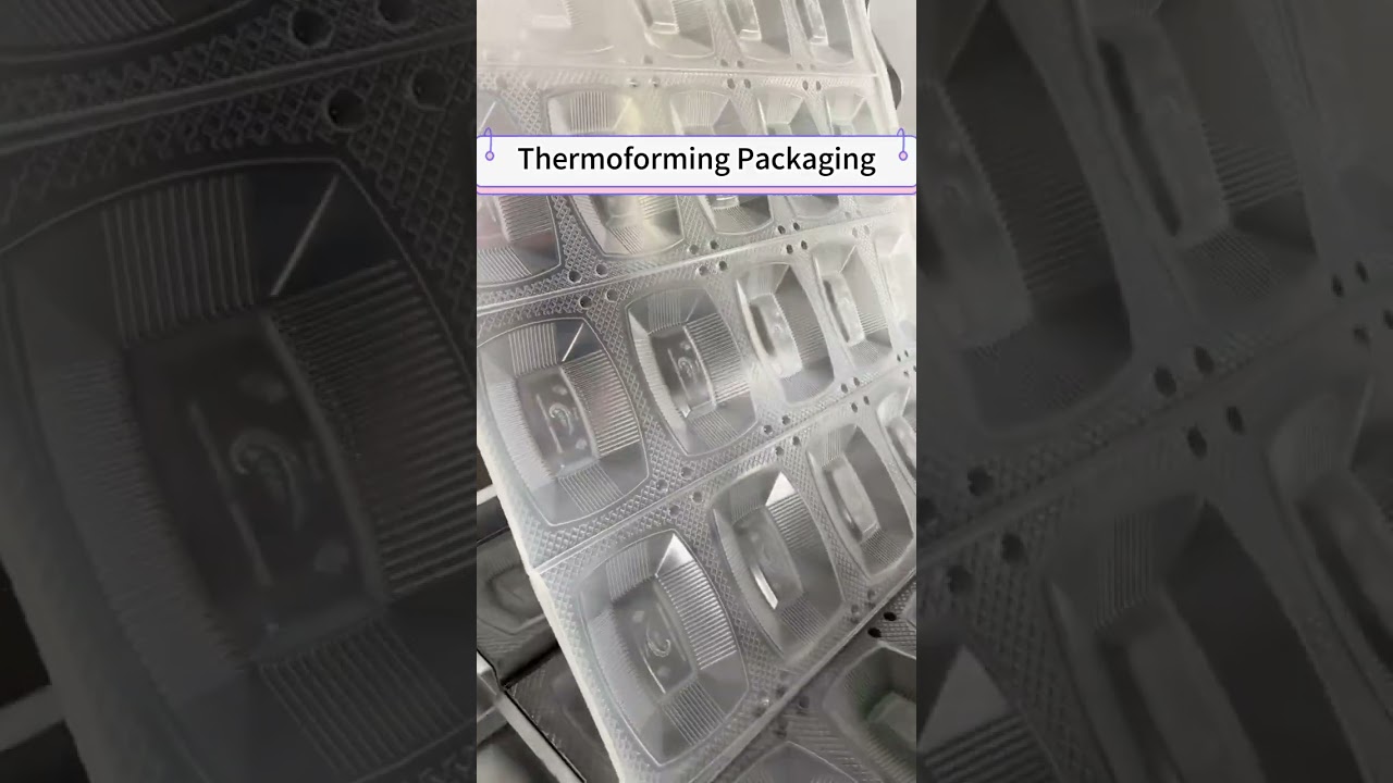 Thermoforming Process for Custom Food Containers: Tailored Solutions for Every Need