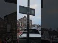 Urban Pruning of Macroom Street Trees