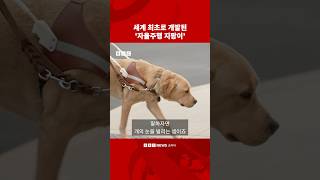 시각장애인을 위한 이동형 로봇 나왔다 #bbc #bbc코리아