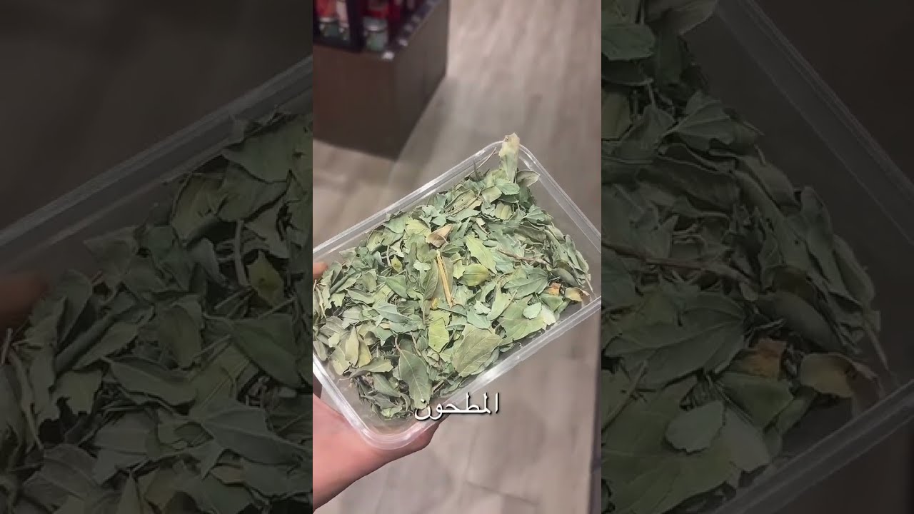 Alhussainattara Alhussainattara