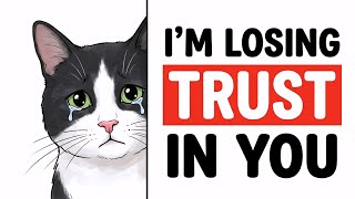 6 Mistakes That Make Your Cat Lose Trust In You