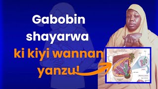 Ki kalli  wannan video kafin kifara shayarwa (external structure of your breasts)