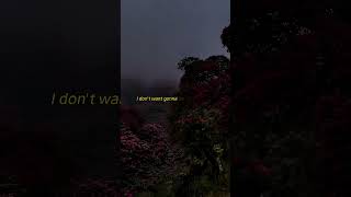 Alone Tonight – Velvet Collapse (Official Audio)