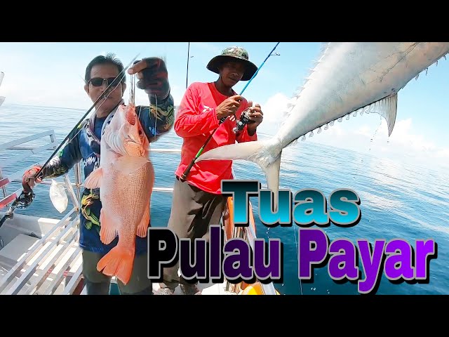 Mancing Di Tuas Muzer Pulau Payar Macam-Macam Ikan Berjaya Didaratkan. s119. class=