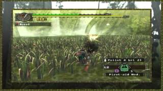 Monster Hunter - Quest 27 Jungle Pests!
