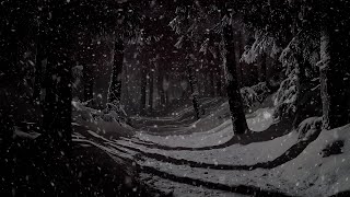 Snow’s Gentle Hush 🌬️ Relax with the Sound of Falling Snow ❄️
