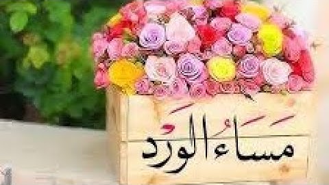 أجمل حالات واتس مسائية قصيرة❤أذكار المساء🌷مقاطع انستغرام⚘استوريات مساء الورد⚘
