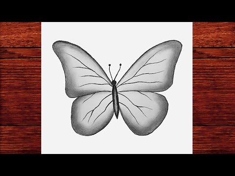 Kolay Kelebek Nasıl Çizilir [ Kolay Kelebek Çizimi ] - Kolay Karakalem Çizimleri - Çizim Mektebi