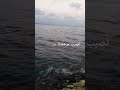 و ك ذ ل ك م ك ن ا ل ي وس ف ف ى ٱل أ ر ض ي ت ب و أ م ن ه ا ح ي ث ي ش آء بصوت إسلام صبحي و ك ذ ل ك م ك ن ا ل ي وس ف ف ى ٱل أ ر ض ي ت ب و أ م ن ه ا ح ي ث ي ش آء بصوت إسلام صبحي