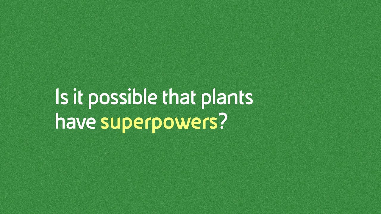 Is it possible that plants have superpowers?