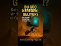 BU GÜÇ NEREDEN GELİYOR? | Karıncalar, Antik Sırlar ve Yapay Zekâ