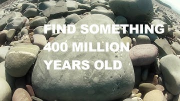 Fossil Hunting in Somerset & Exmoor