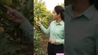 રપ વવત વખત કટલ અતર રખવ કટલ Vermicompost અન Cocopeat ઉમરવ તન યગય મહત