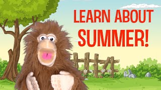 Learn About Summer for Kids: Summer Solstice, seasons, weather for preschool and kindergarten