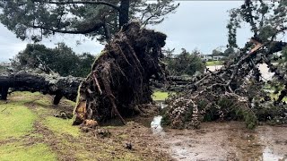 Cyclone Gabrielle, Tairua, Coromandel peninsula.