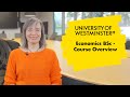 Economics BSc - Course Overview | The University of Westminster