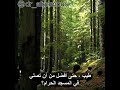 خير للمرأة أن لا ترى الرجال وأن لا يراها الرجال 