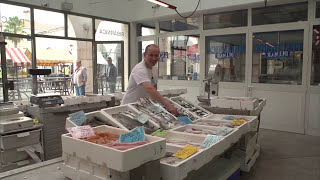 Ribi Ribice - David Sinkovič