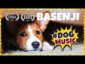 Amazing Relaxing Music for Basenji  ~ Soothing Music for Dogs [WELL TESTED]