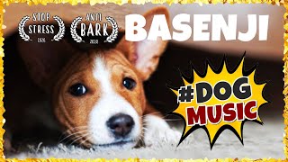 Amazing Relaxing Music for Basenji  ~ Soothing Music for Dogs [WELL TESTED] by Dogfather ™  884 views 1 year ago 4 hours, 4 minutes