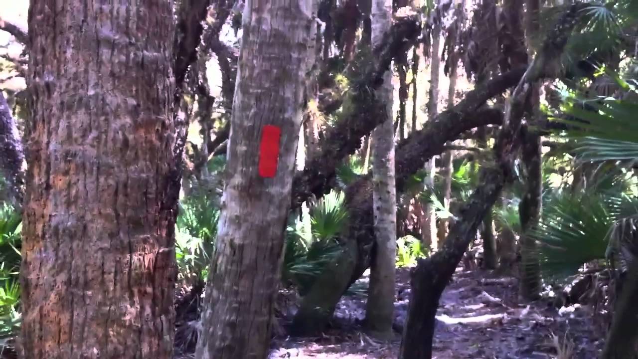 indian mounds in florida Hiking at Myakka River State Park