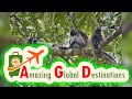 AGD - Review Zanzibar Private Tour National Park Jozani forest and Spice farm