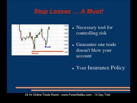 Forex labor day hours